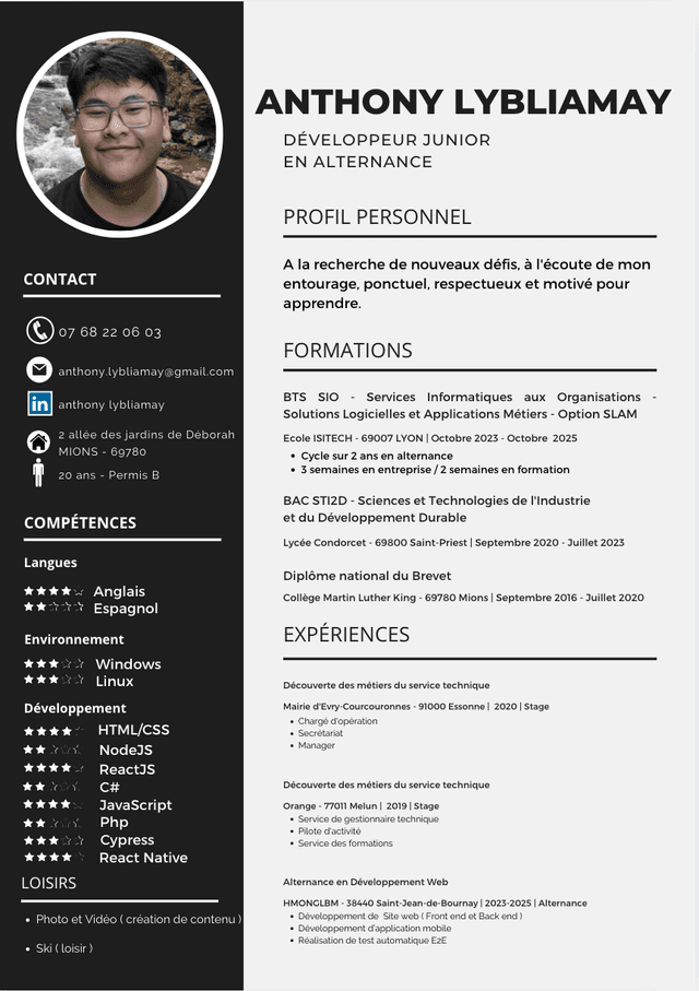 curriculum vitae